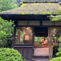 ほたる狩り〜うかい鳥山