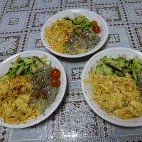 7月の南天