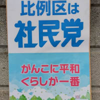 来る2025年向けて　　市民には「社民党に投票してよかった。」と言われる活動を考える