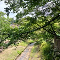 宮島