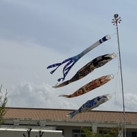 こどもの日のお祝い、こどもの日の製作持ち帰り　５月１日（木）