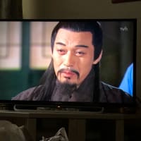 韓国映画に見る権力