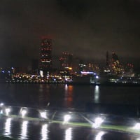 夜中に横浜ひとり旅