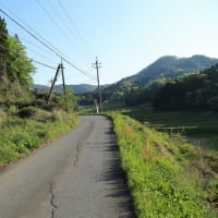 【　棚田の朝の風景　】