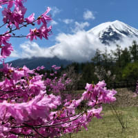 もうすぐ春が来る
