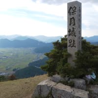 フィット 15x 試乗 小森はかく語りき フィット 15x 試乗 小森はかく語りき