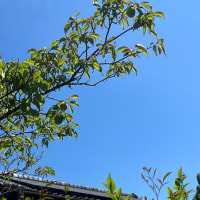 無駄な時間