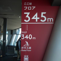 １月の東京スカイツリー：フロア４５０より南東～南方向（新小岩駅～舞浜駅）