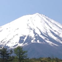 ゼンマイ？と富士山