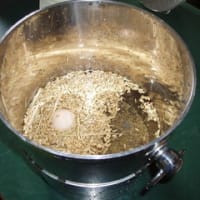 今年の豊作を願い、稲の準備を開始