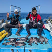 2025年6月分、パイン5号の釣果