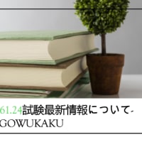 VMware 3V0-61.24試験最新情報について-gowukaku