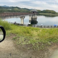 【第442回目】 　白川池 〈奈良県〉　2025.5.10 【土】
