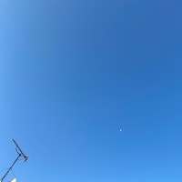 2025年06月18日　早朝の月　