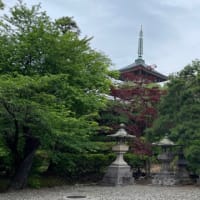 長野遠征　4 善光寺