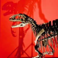 『オダイバ恐竜博覧会2024 ー福井から〝 ヤツラ "  が新幹線でやってくる！ー 』
