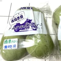 7月15日(火)③