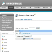 Spacewalk client 登録方法