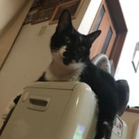 お久しぶり