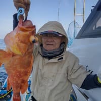 5月２日更新