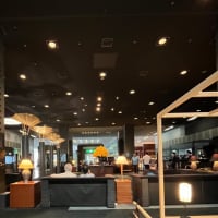 6月19日（木）スウェーデンからのご家族と京都ツアー
