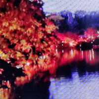 紅葉見たい、、、けど