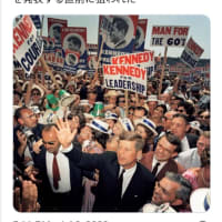 ゲサラ朗報！暗殺されたはずのJFKケネディ大統領は生きている！1963年11月22日にケネディ大統領がNESARA法を発表する直前に暗殺！彼とアメリカ共和国の副大統領、JFKジュニア！トランプ大統領