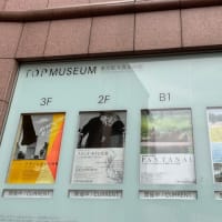 2022年東京都写真美術館（岩合光昭写真展）
