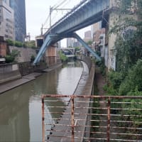 因果