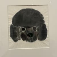 BIBブラチスラバ世界絵本原画展