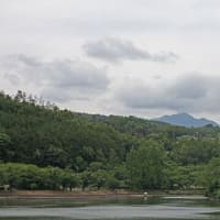 皐月の山上湖風情