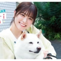 日向坂46丹生明里、柴犬と撮影で「幸せスマイルがさく裂しました～!」 『チャンピオン』表紙＆巻頭グラビアに登場