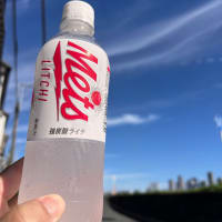 夏はコレ‼️
