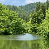 山は初夏