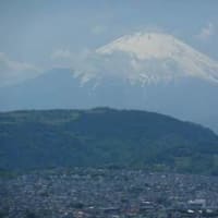 弘法山山頂からの富士山がきれいだった