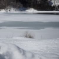 ★中綱湖 晴れた日の雪景色は美しい　2024