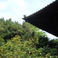新緑の鎌倉⑦「宝戒寺」、（２０２４春）。