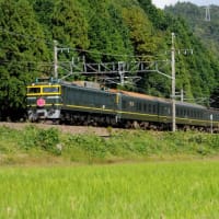 湖北を走る「トワイライトエクスプレス」