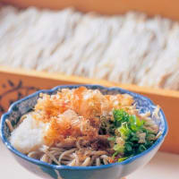 ＜ 郷土料理 ＞　福井　おろしそば