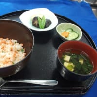 本日のメニュー
