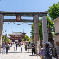 大阪図書館～バラ園～奈良公園に行ったみたい---------少女成長記録