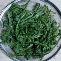春の山菜