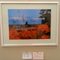 令和7年度　春の文協まつり　写真展