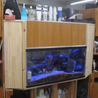 お店のプチ改装（その２）