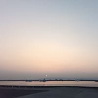 鯵釣り
