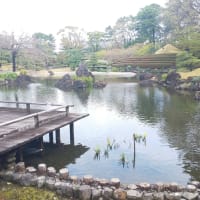 静岡見つけた　29 　好きな場所　４