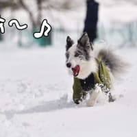 帰ろうとしない子たち🤣