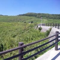 平尾台に行って来ました