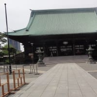 金剛力士像が迎えてくれる！護国寺！不老門を潜ると大仏も六地蔵もいるよ！