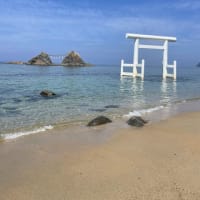 土壌研ブログ再始動します